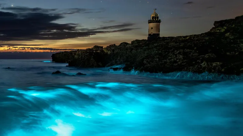 Electric blue waves light up Anglesey beach as bioluminescent plankton glow in the dark Rare night glow draws photographers to Penmon Point A stunning natural light show lit up the sea at Penmon Point on Anglesey, where waves turned bright electric blue due to bioluminescent plankton. The rare glow attracted photographers and locals who gathered along the beach to witness the display. The phenomenon happens when tiny marine organisms in the water produce light after being disturbed by movement in the sea. On this night, the effect created bright flashes that looked like glowing sparks across the waves. Photographer travels hundreds of miles for the moment A photographer, Paul Joels, 44, traveled from Nottinghamshire to Wales after hearing reports of the glowing sea. He spent more than seven hours on the journey to capture the scene. He said night photography is something he enjoys deeply, and bioluminescence has always been a challenge to catch. Some trips work out, while others do not, but he said that uncertainty is part of the experience. He also acknowledged that some people might think the long trip is unusual, but said the result made it worthwhile. Lucky timing brings strong display Charlotte Kite, 45, from Denbigh, also joined the group on the beach after earlier sightings of the glow in the area. She had tried several times before to photograph bioluminescence without success. This time, she arrived around 11 pm with a small group of photographers and finally saw a strong display in the water. She described the scene as flashes of electric blue light that looked like lightning hitting the sea. She added that the brightness seen in photos was very close to what the eye could see in real time. What causes the glowing sea Bioluminescence is created by microscopic plankton that emit light when disturbed. Movement from waves or predators triggers the glow, producing bright blue streaks across the water. On this night, conditions aligned perfectly, creating a vivid natural light show that lasted long enough for visitors to capture photographs.