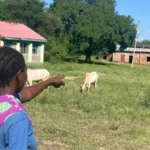 RuralSchoolsInKenya