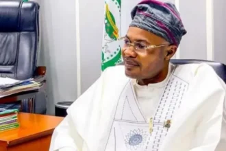 Fake Nigerian government agency arrest