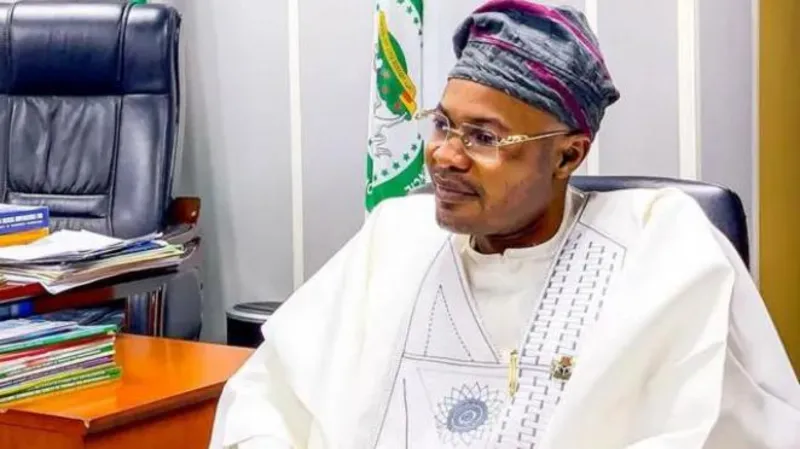 Fake Nigerian government agency arrest