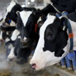 US Wants Greater Market Access