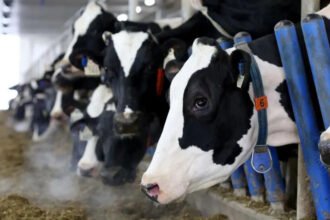 US Wants Greater Market Access
