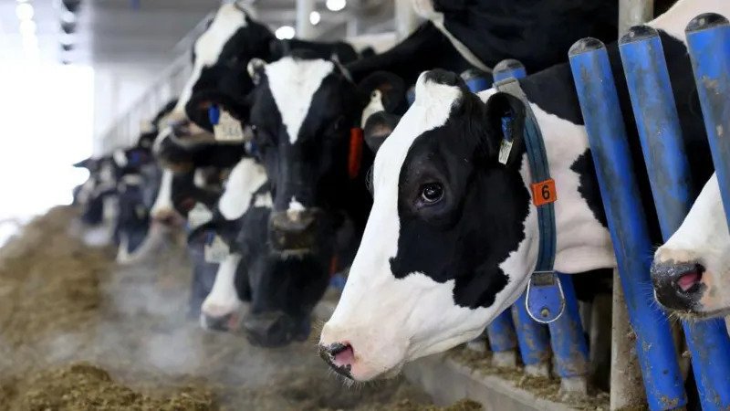 US Wants Greater Market Access