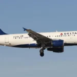 Delta plane hit by firework