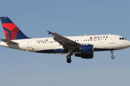 Delta plane hit by firework