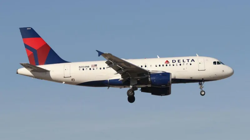 Delta plane hit by firework
