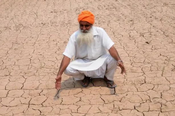 India records its driest June in 12 years, delaying monsoon rains and slowing crop sowing. Farmers face growing challenges, while rice reserves offer temporary relief.