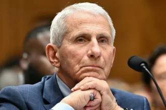 Anthony Fauci faces a tense Senate Covid hearing as he invokes the Fifth Amendment, rejects accusations,
