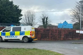 Student found not guilty of attempted