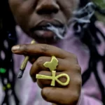 Cannabis