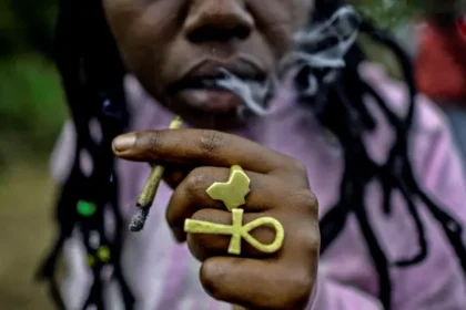 Cannabis