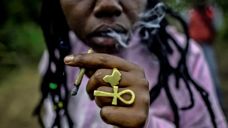 Cannabis