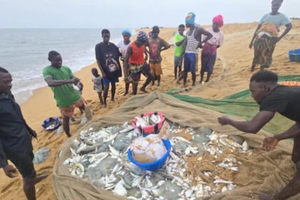 The African fishermen who blame Chinese trawlers for their woes (1)