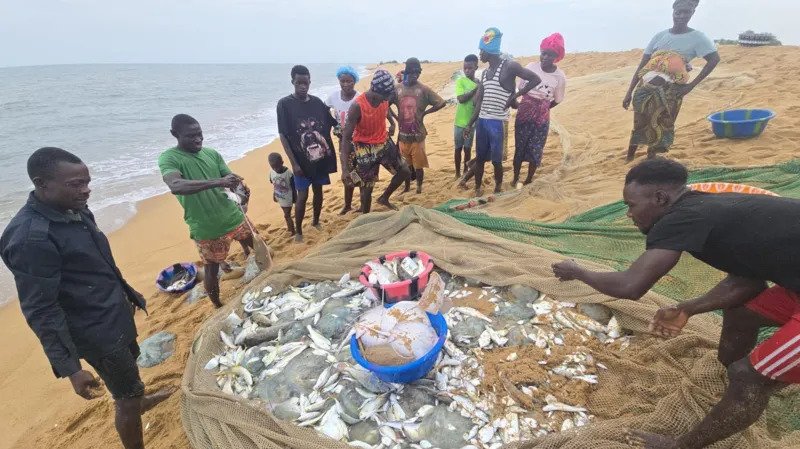 The African fishermen who blame Chinese trawlers for their woes (1)