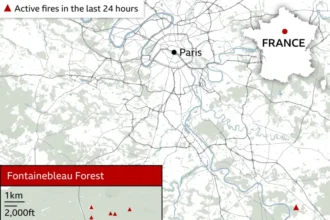 Fontainebleau forest wildfire near Paris