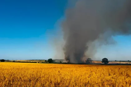 UKWildfires