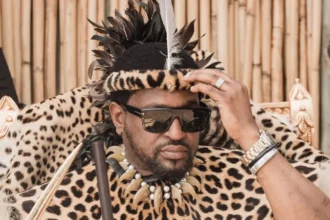 Zulu King Misuzulu leaked video controversy
