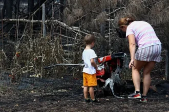 France Wildfires Burn 42,000 Hectares