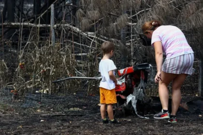 France Wildfires Burn 42,000 Hectares