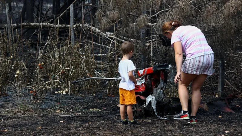 France Wildfires Burn 42,000 Hectares