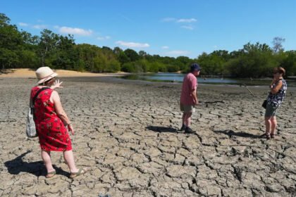 What is causing the extreme summer heat?