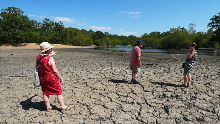What is causing the extreme summer heat?