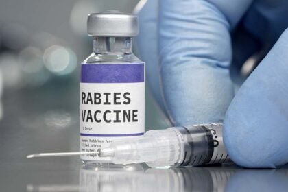 Healthcare professional preparing rabies vaccine for post exposure treatment