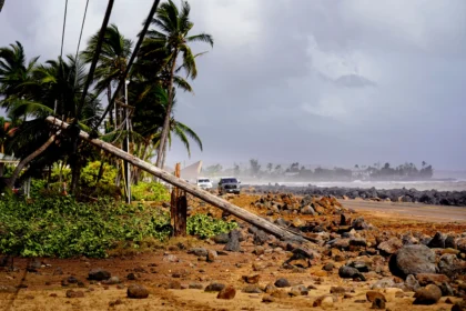 Alt Text: Storm damage and flooding caused by Hurricane Lowell in Hawaii